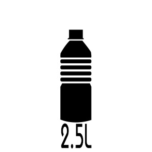 2.5L